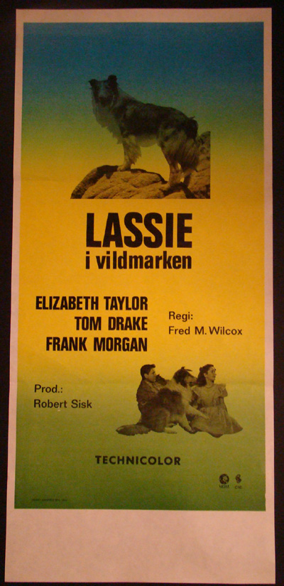 Drama I Vildmarken [1952]