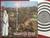 COLOSSEUM - Valentyne suite UK-orig Vertigo LP 1969