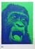 G.L. UNIT - Orangutang! KONSUM (ca 1970) Dark blue / green