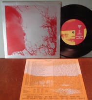 ANOTHER SUNNY DAY - Rio 7"