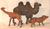 WOLF, CAMEL AND GIRAFFE Elastolin style 3 pcs.